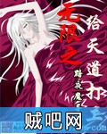 无限之给天道打工封面