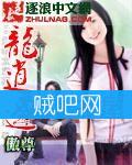 龙逍遥封面