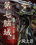 第七脑域封面