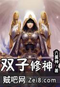 双子修神封面