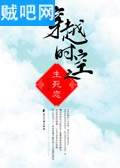 另类静妃封面