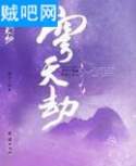 穹天劫封面