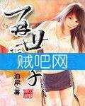 再世骄子封面