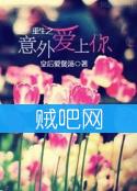 重生之意外爱上你封面