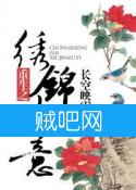重生之绣锦如意封面
