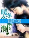 暖冬夜微澜:总裁的神秘情人封面