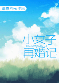 小女子再婚记封面