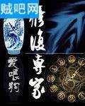 修复专家封面