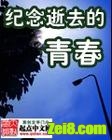 纪念逝去的青春封面