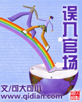 误入官场封面