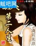 美妙之第二人生封面