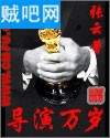 导演万岁封面