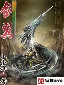 剑翼封面