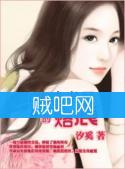 总裁的烙痕封面