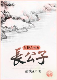 红楼之林家长公子封面