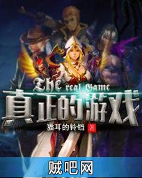 真正的游戏封面
