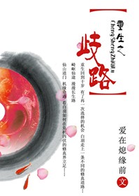 重生之歧路封面