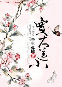 买大送小封面