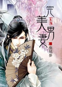 完美男妻封面