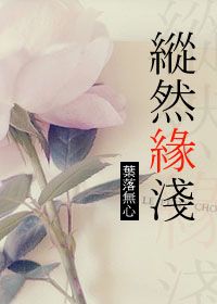 纵然缘浅封面