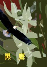 黑鹰 黑鹰