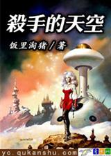 杀手的天空 杀手的天空