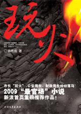 官场小人物的拼搏史玩火封面