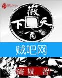 徽商天下封面