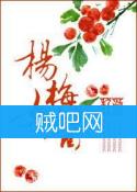 杨梅女酱封面