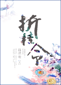 折桂令封面