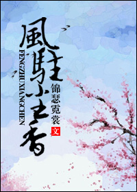 风驻尘香封面