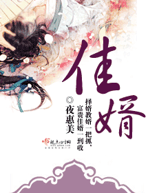 佳婿封面