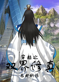 穿越之双界修真封面