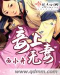 妾上无妻封面