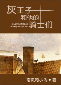 灰王子和他的骑士们封面