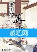 重生之再醮封面
