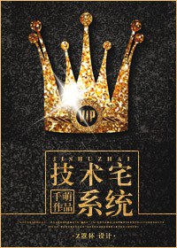 技术宅系统封面