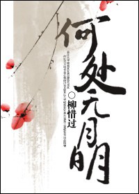 何处无月明封面