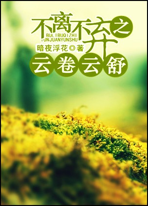 不离不弃之云卷云舒封面