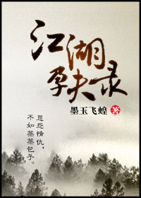 江湖孕夫录封面