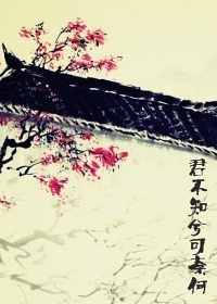 君不知兮可奈何封面