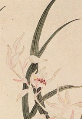 软香封面