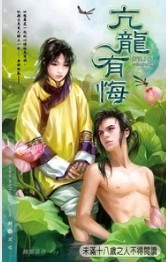 亢龙有悔封面