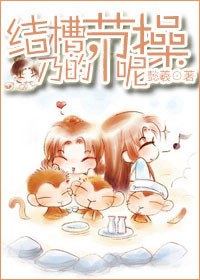 结槽,乃的节操呢封面