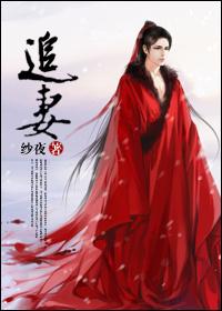 追妻封面
