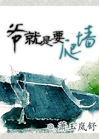爷就是要爬墙封面
