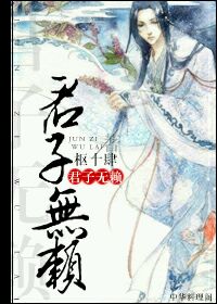 君子无赖封面