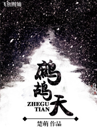 鹧鸪天封面