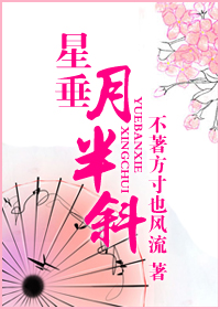 星垂月半斜封面