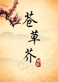 苍草芥封面